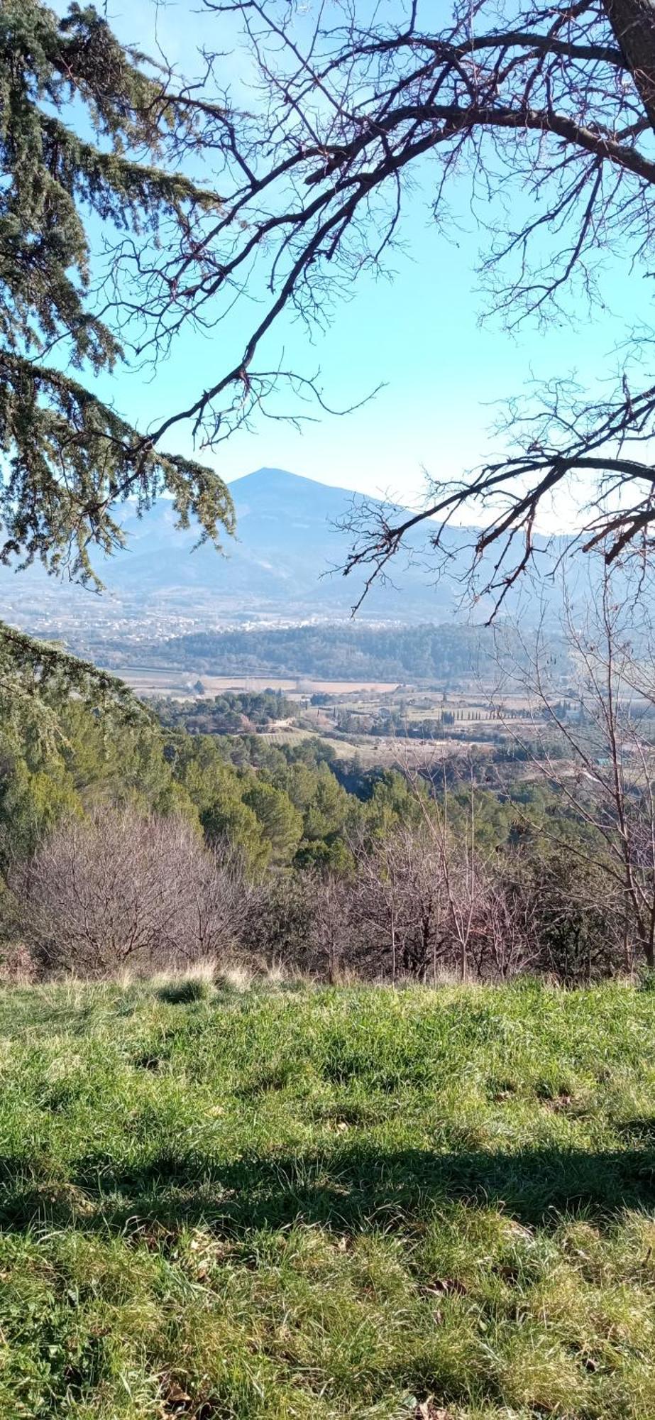 Studio Tout Confort En Provence Mont Ventoux. 베두엥 외부 사진