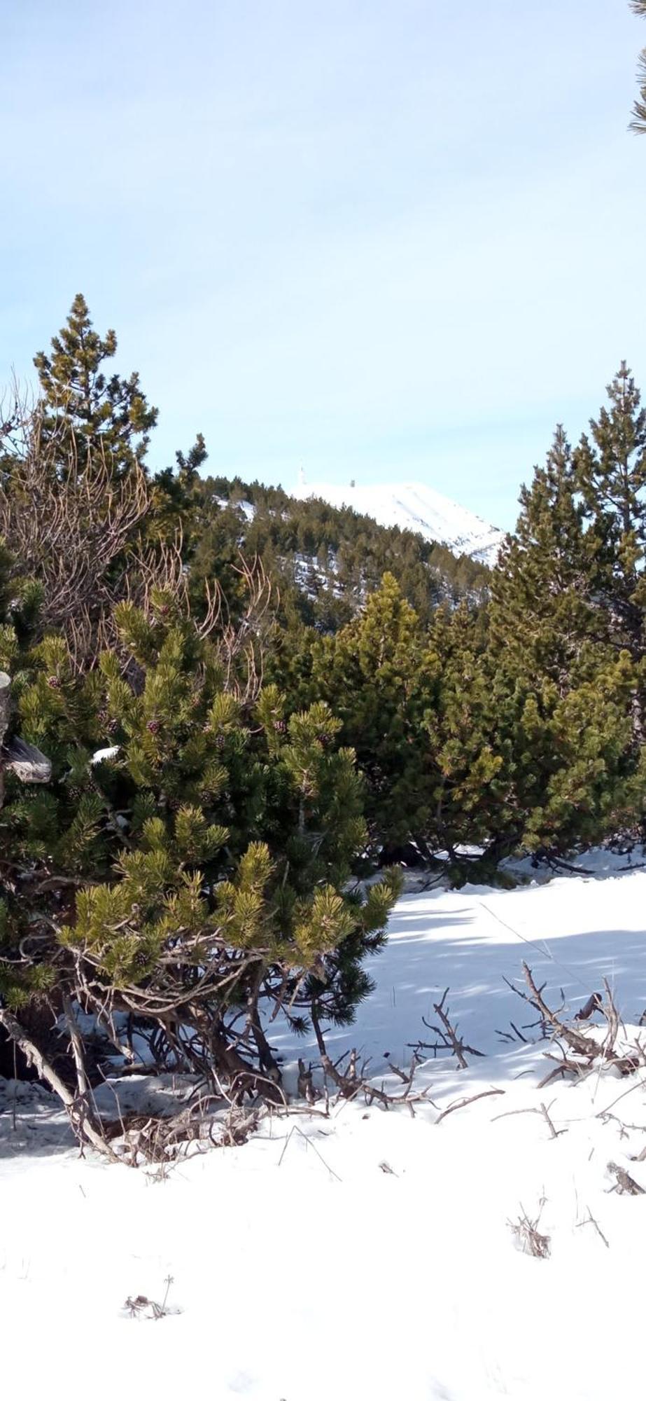 Studio Tout Confort En Provence Mont Ventoux. 베두엥 외부 사진
